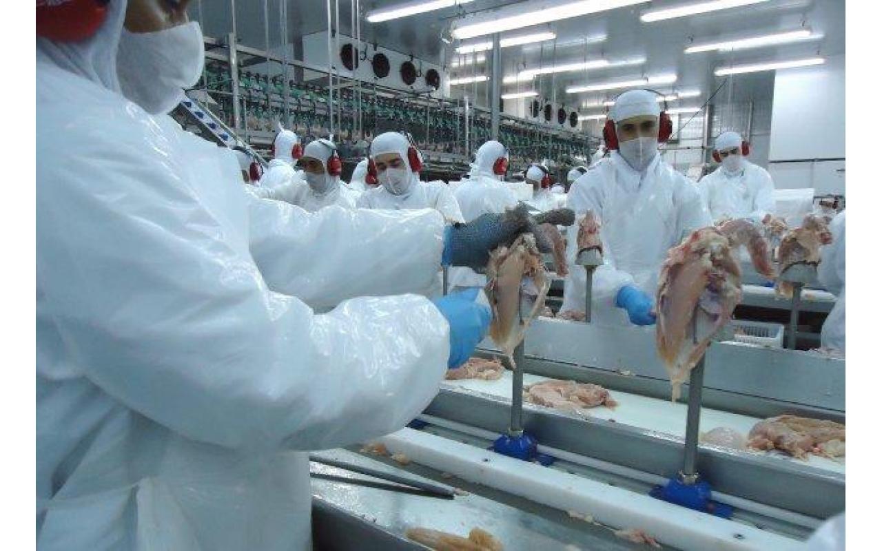 Governo catarinense reduz para 7% a alíquota de ICMS para carnes de aves e suínos 