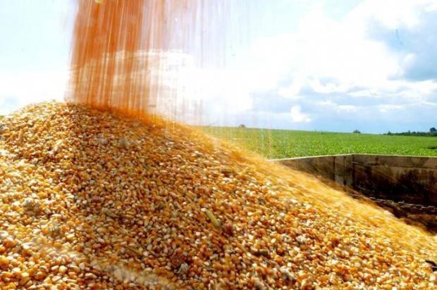 Governo do Estado laça o Programa Terra Boa 2022