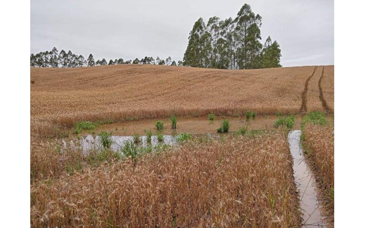 Governo do Estado lança programa para recuperação da agricultura