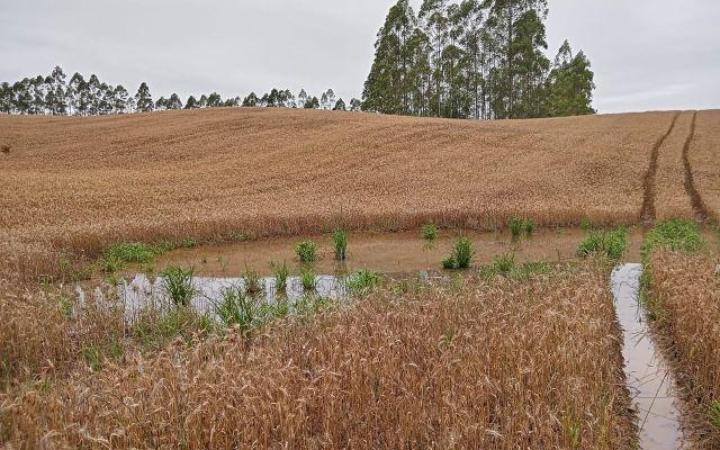 Governo do Estado lança programa para recuperação da agricultura