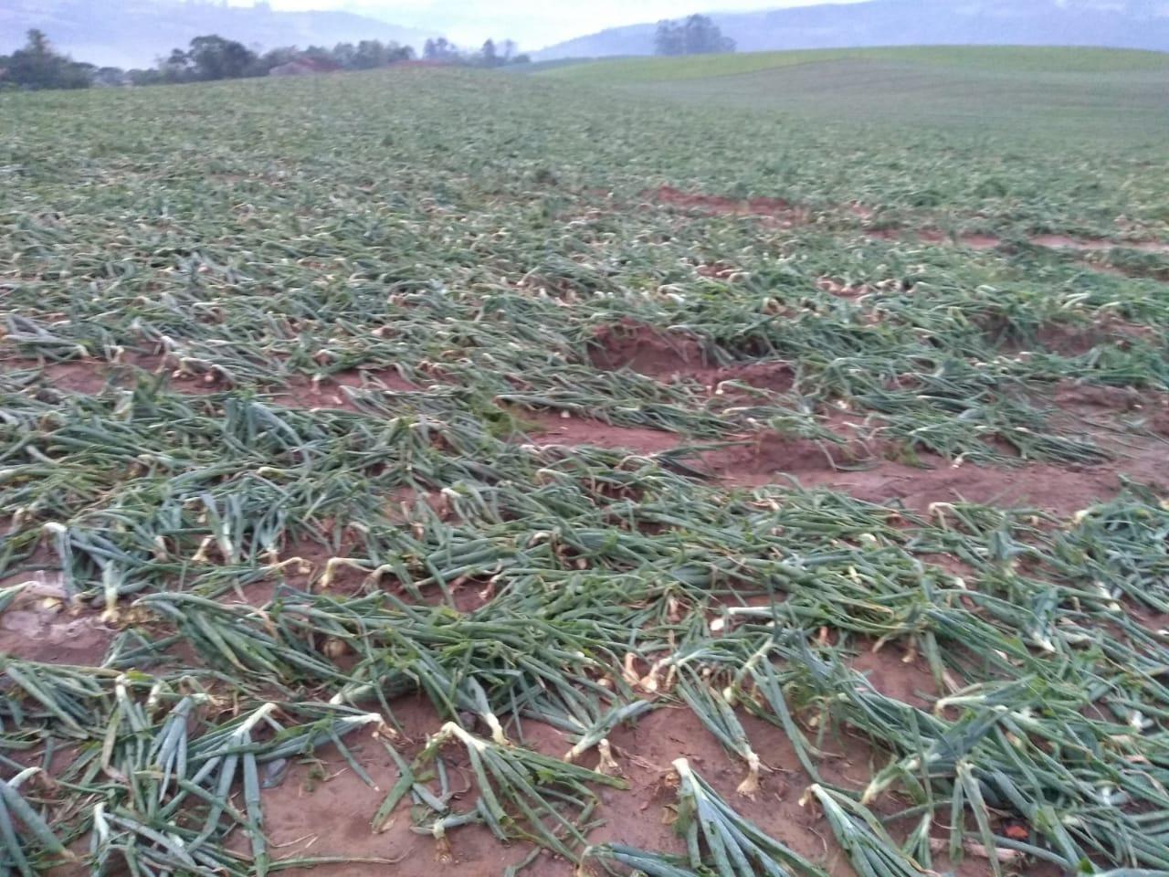 Granizo atinge cidades da Região da Cebola mais uma vez