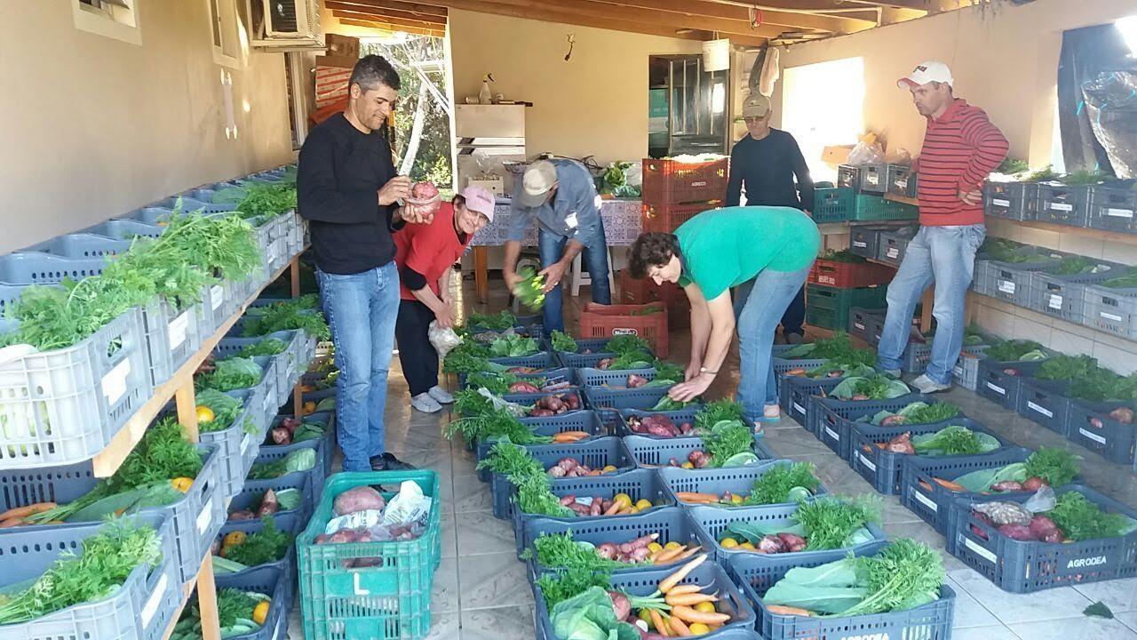 Grupo de produtores garante renda com venda de cestas orgânicas