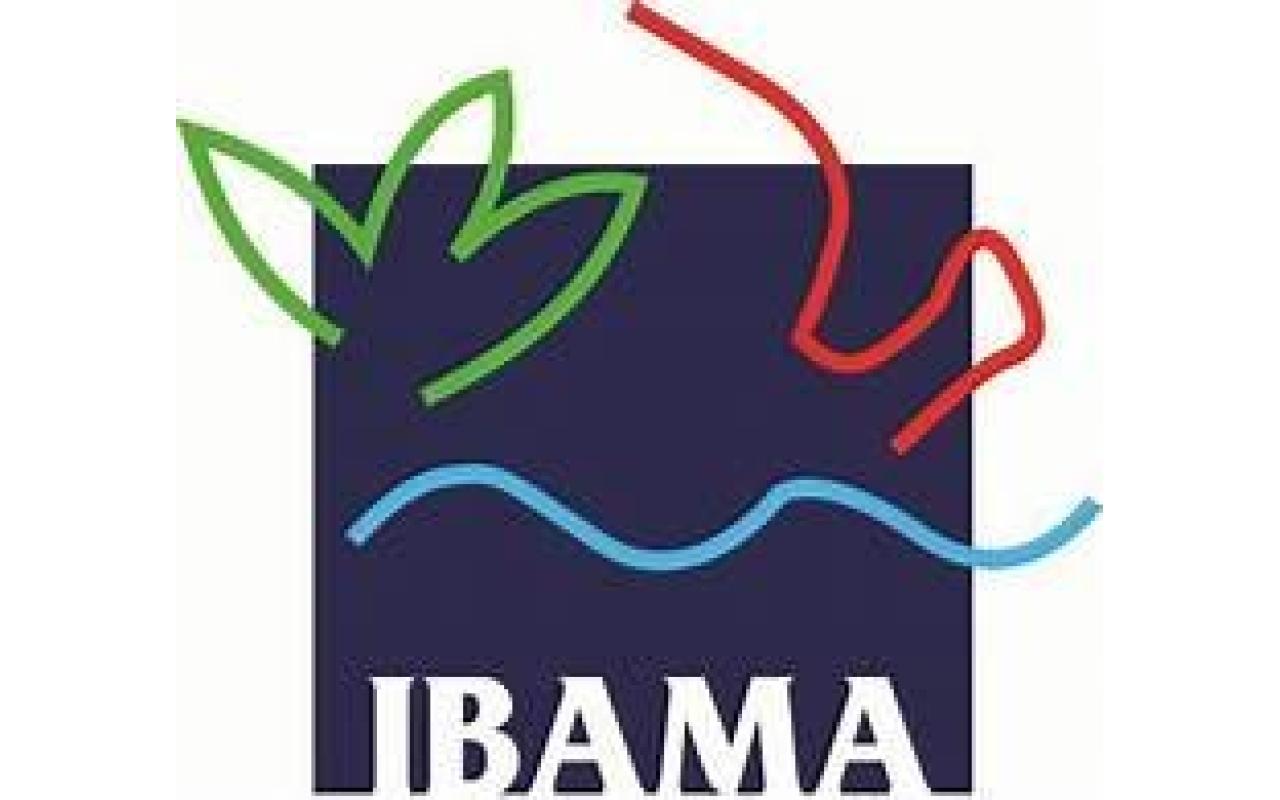 Hoje é dia do Ibama, saiba como a tecnologia tem auxiliado o órgão a fiscalizar melhor a flora e a fauna do Alto Vale