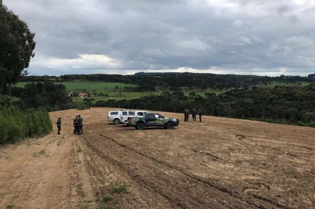 Identificada área de desmatamento ilegal do tamanho de 414 campos de futebol no Planalto Norte de SC