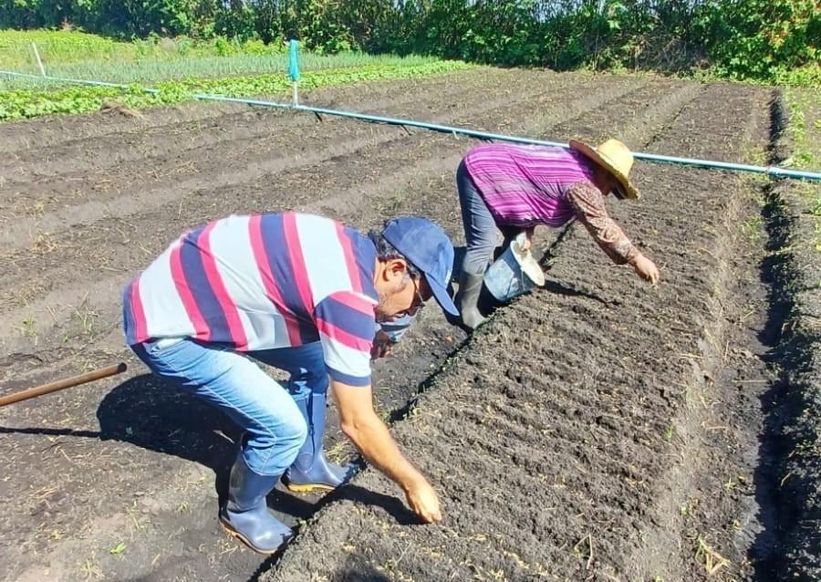 IFC Rio do Sul abre inscrições para curso de especialização em plantio direto e agroecologia