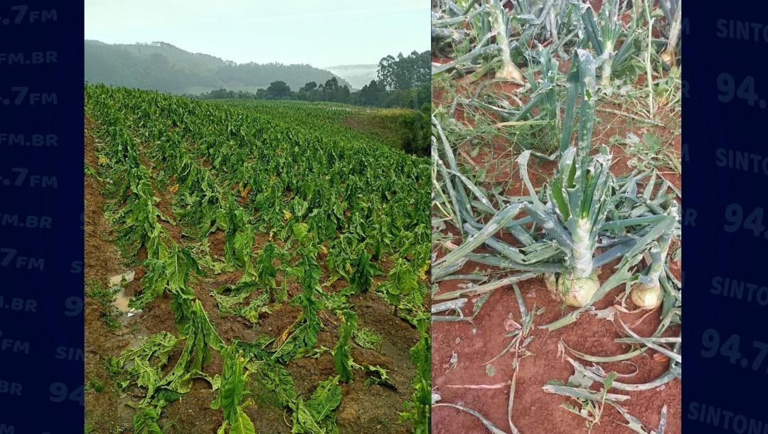 Imbuia decreta situação de emergência após granizo deixar R$ 29 milhões em prejuízos
