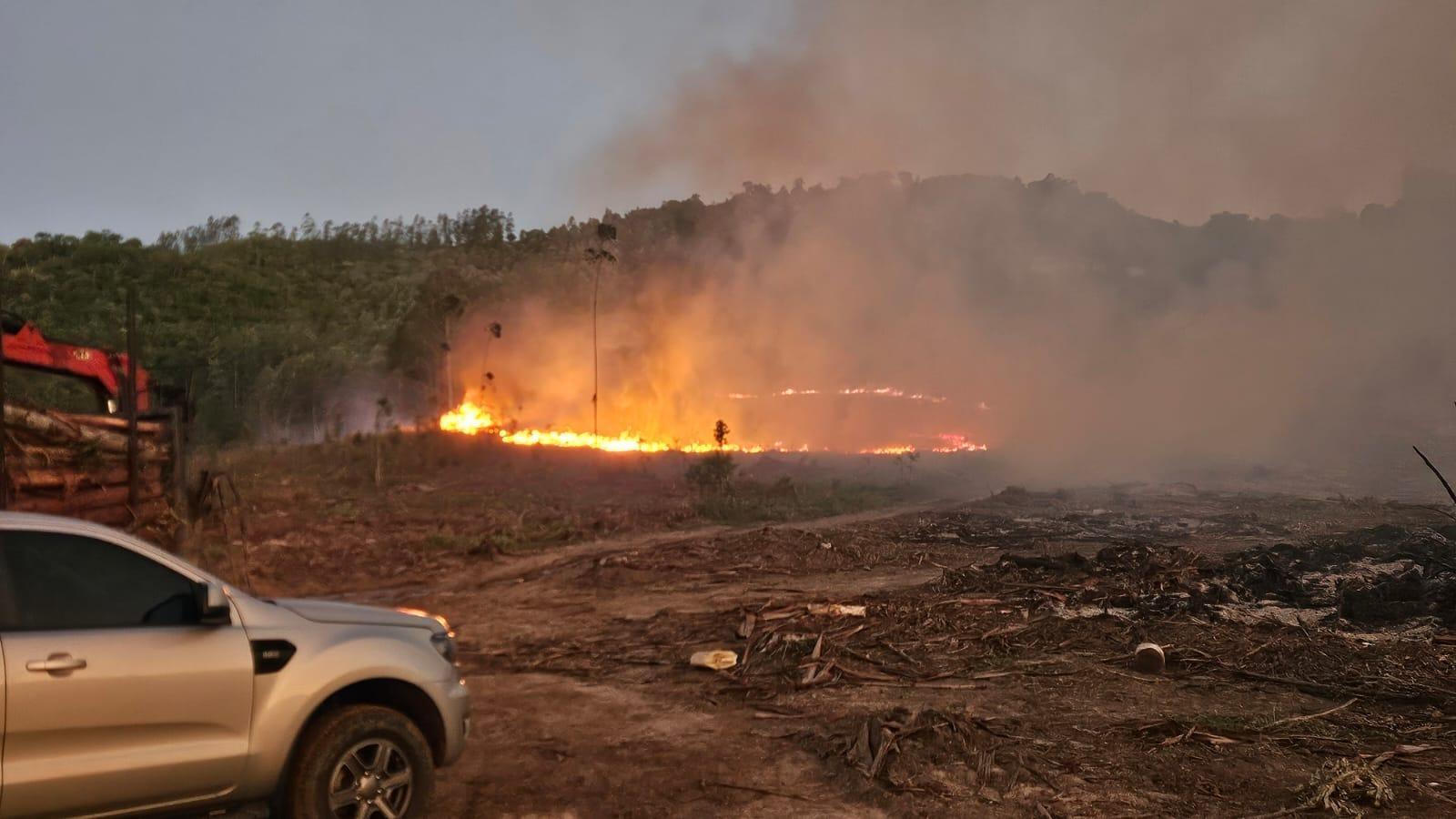 Incêndio atinge área de reflorestamento em Ituporanga e consome cerca de oito hectares