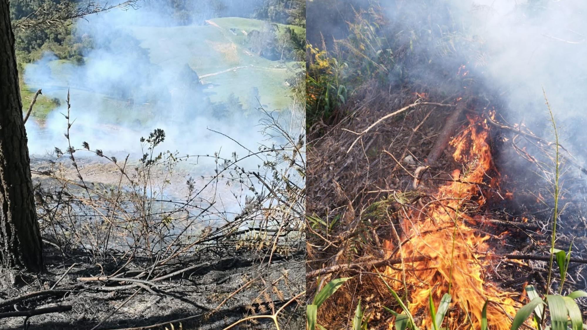 Incêndio atinge área de vegetação em Presidente Nereu