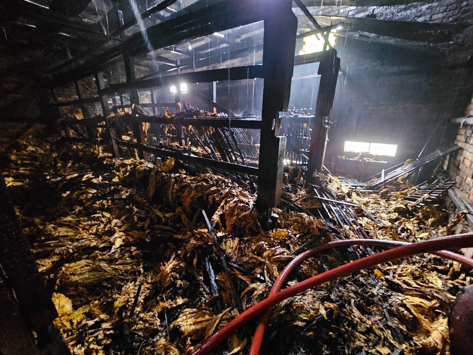 Incêndio atinge estufa de secagem de fumo no interior de Petrolândia