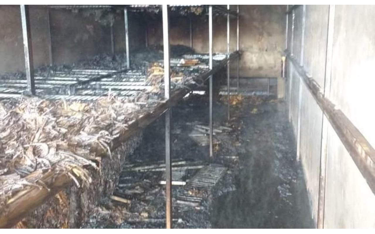 Incêndio destrói 750 quilos de fumo em estufa de Vidal Ramos