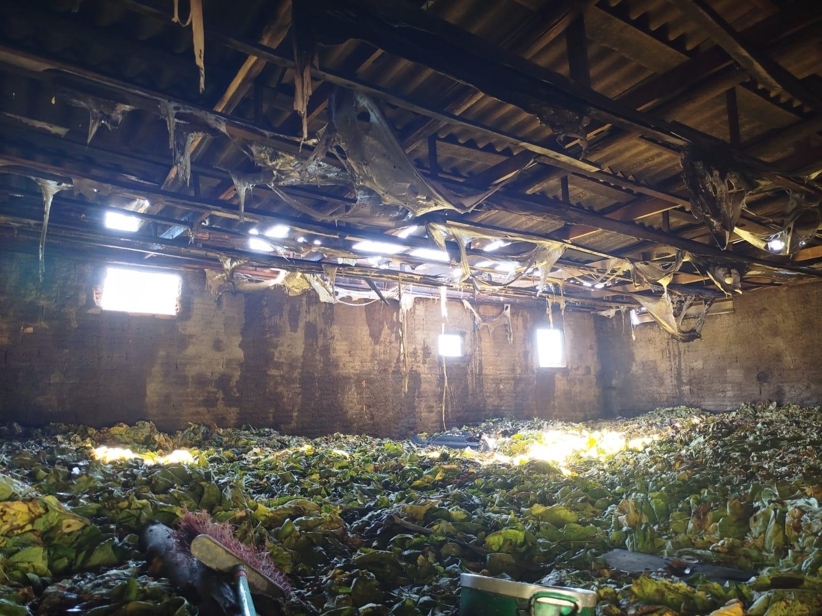 Incêndio destrói estufas de fumo e causa prejuízo de R$ 200 mil em Leoberto Leal