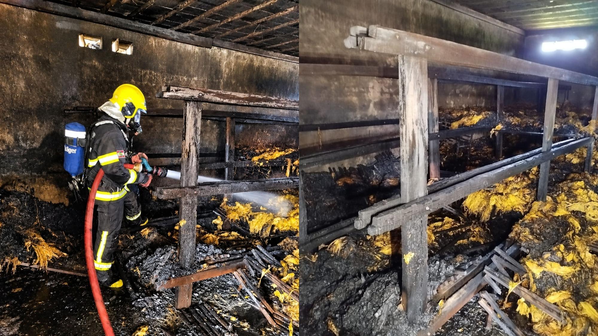 Incêndio em estufa de fumo causa prejuízo de R$ 30 mil em Ituporanga
