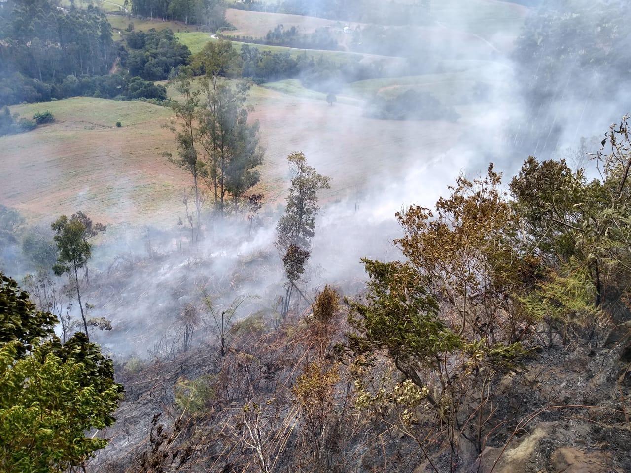 Incêndios em vegetação no estado crescem 407% em 2020, aponta Corpo de Bombeiros Militar