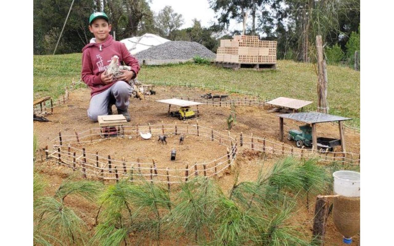 Infância no interior: com criatividade, garoto constrói mini fazenda na propriedade da família