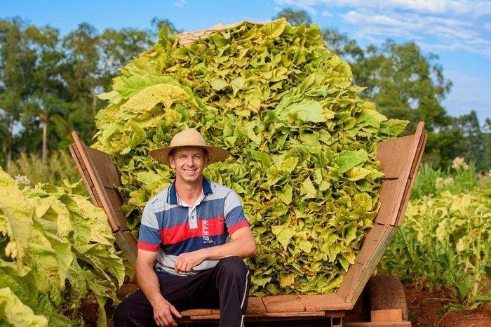 Influenciador Giovane Weber participa do Dia de Campo da Afubra em Ituporanga