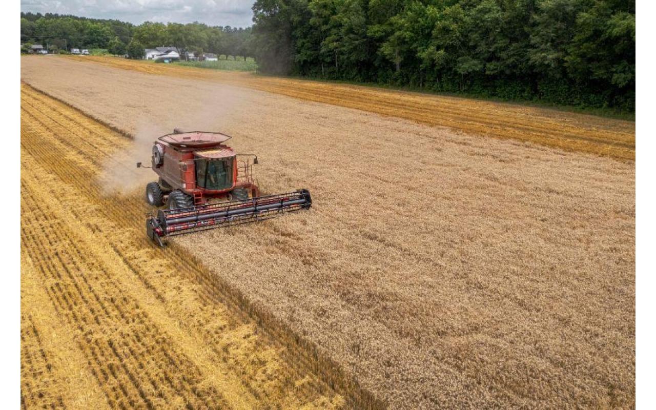 ITR 2024: prazo para declaração começou dia 12 de agosto e vai até 30 de setembro