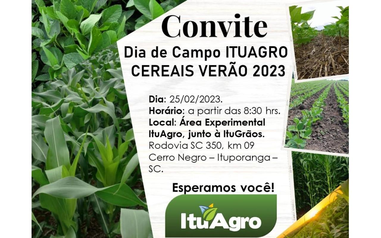 ItuAgro promove dia de campo cereais verão 2023 com foco na cultura da soja