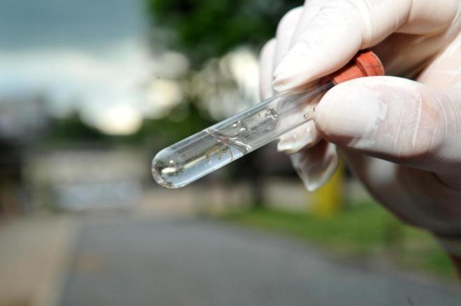 Ituporanga registra terceiro foco de dengue nesse ano na cidade