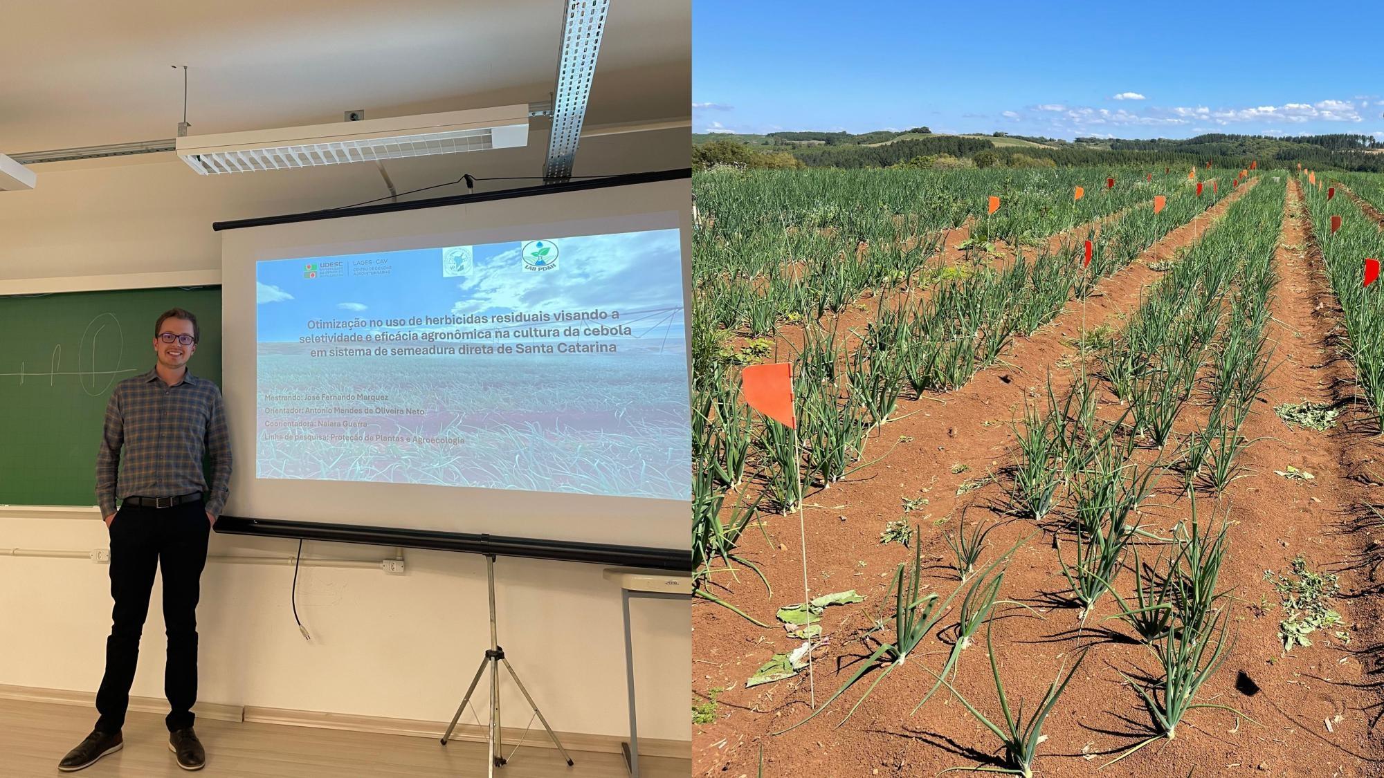 Jovem de Ituporanga faz pesquisa inédita sobre aplicação de herbicidas no plantio direto da cebola