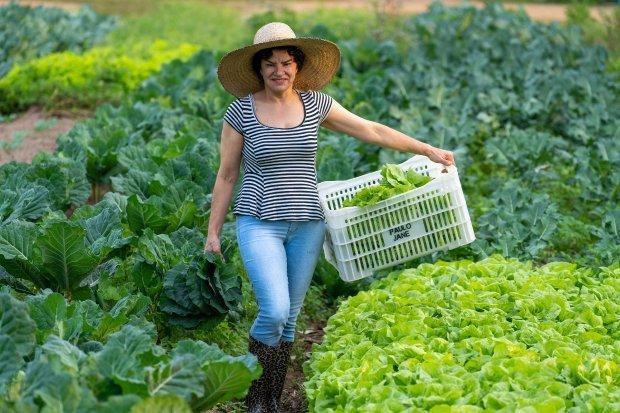 Jovens e mulheres terão prioridade na liberação de recursos dos programas da Agricultura 