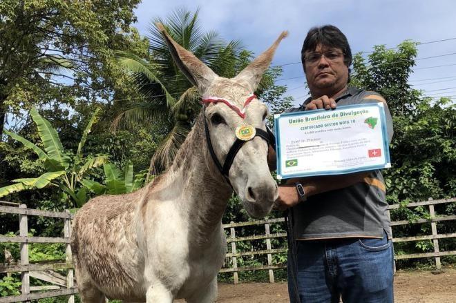Jumento está entre os premiados como 