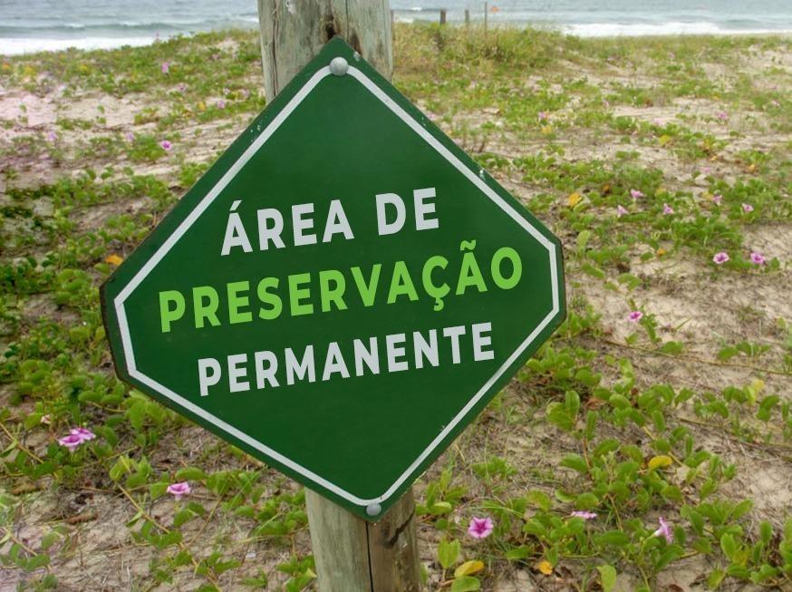 Junho Verde: APPs protegem rios, nascentes e regulam meio ambiente
