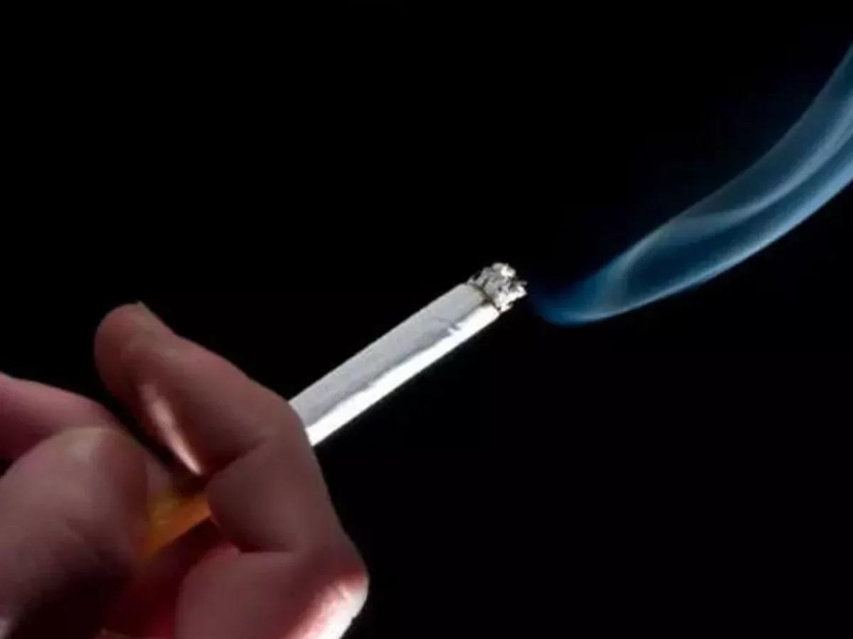 Lei aprovada em SC proíbe consumo de cigarros e derivados de tabaco em parques e playgrounds