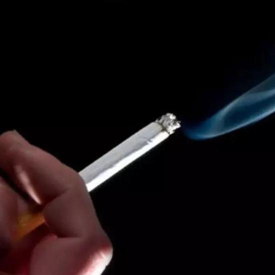 Lei aprovada em SC proíbe consumo de cigarros e derivados de tabaco em parques e playgrounds