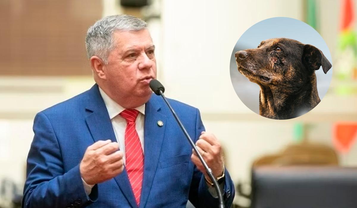 Lei Orelha é aprovada na Alesc e endurece punições para maus-tratos contra animais