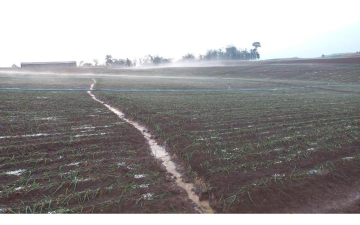 Mais de 15 mil propriedades agrícolas do Alto Vale tiveram prejuízos com as fortes chuvas do mês de outubro 
