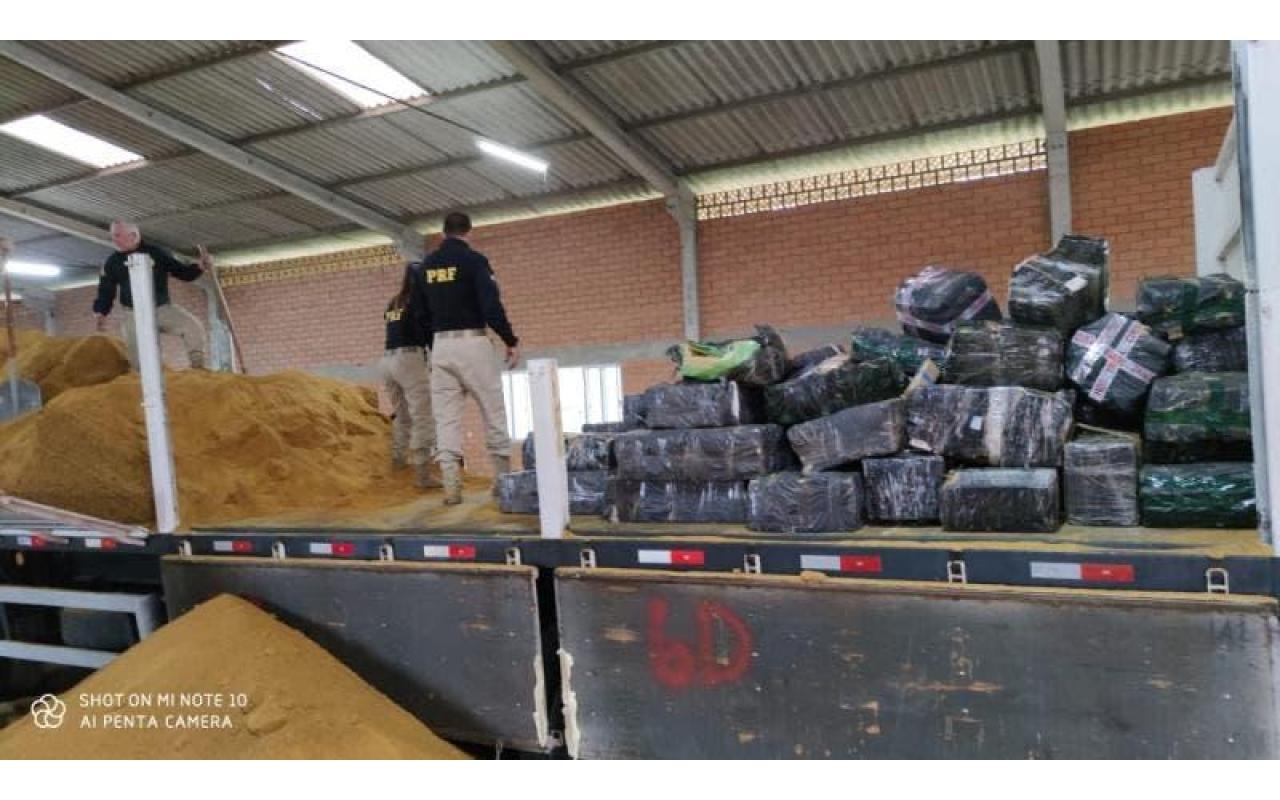 Mais de 3,5 toneladas de maconha são apreendidas pela PRF em carga de farelo de milho em SC