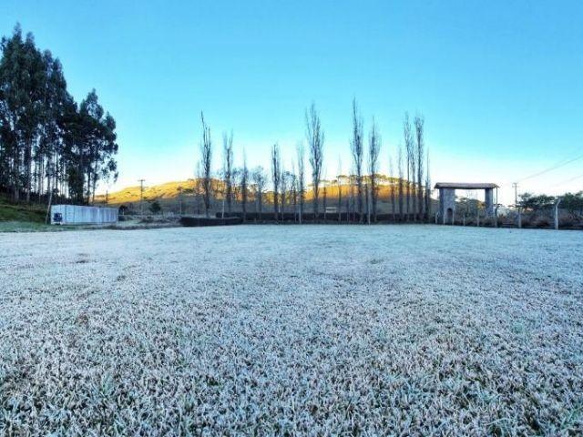 Massa de ar frio pode trazer geada e neve para SC: confira as recomendações da Epagri para minimizar prejuízos na agropecuária