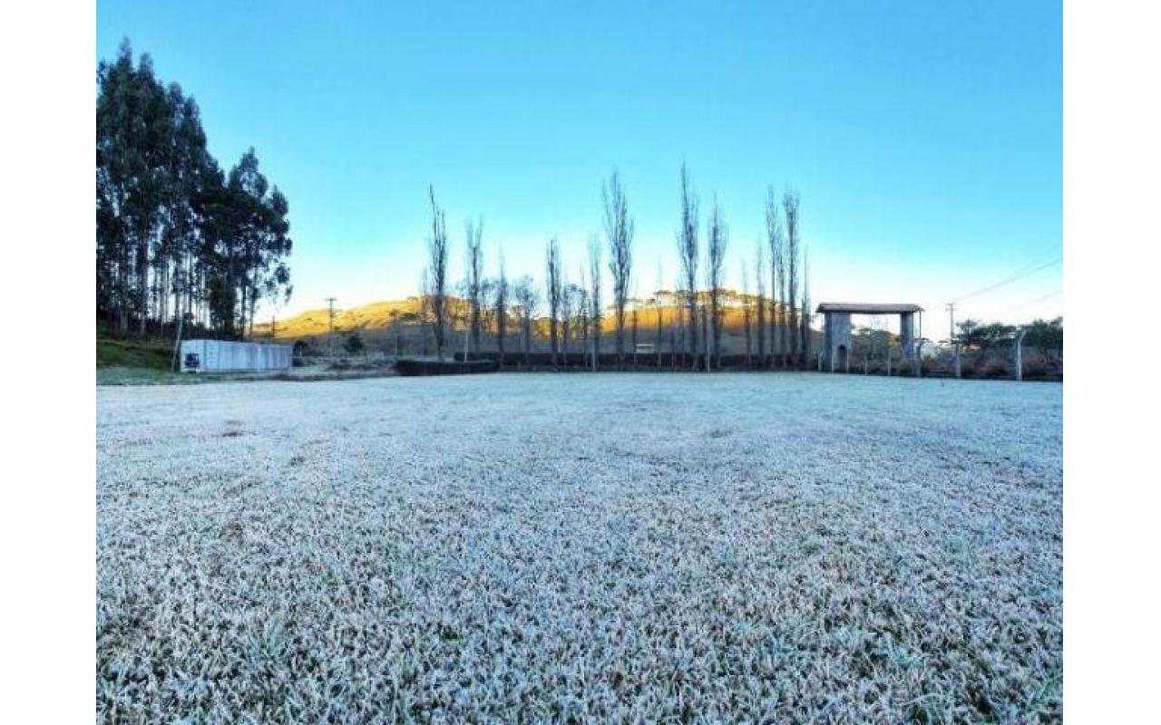 Massa de ar frio pode trazer geada e neve para SC: confira as recomendações da Epagri para minimizar prejuízos na agropecuária