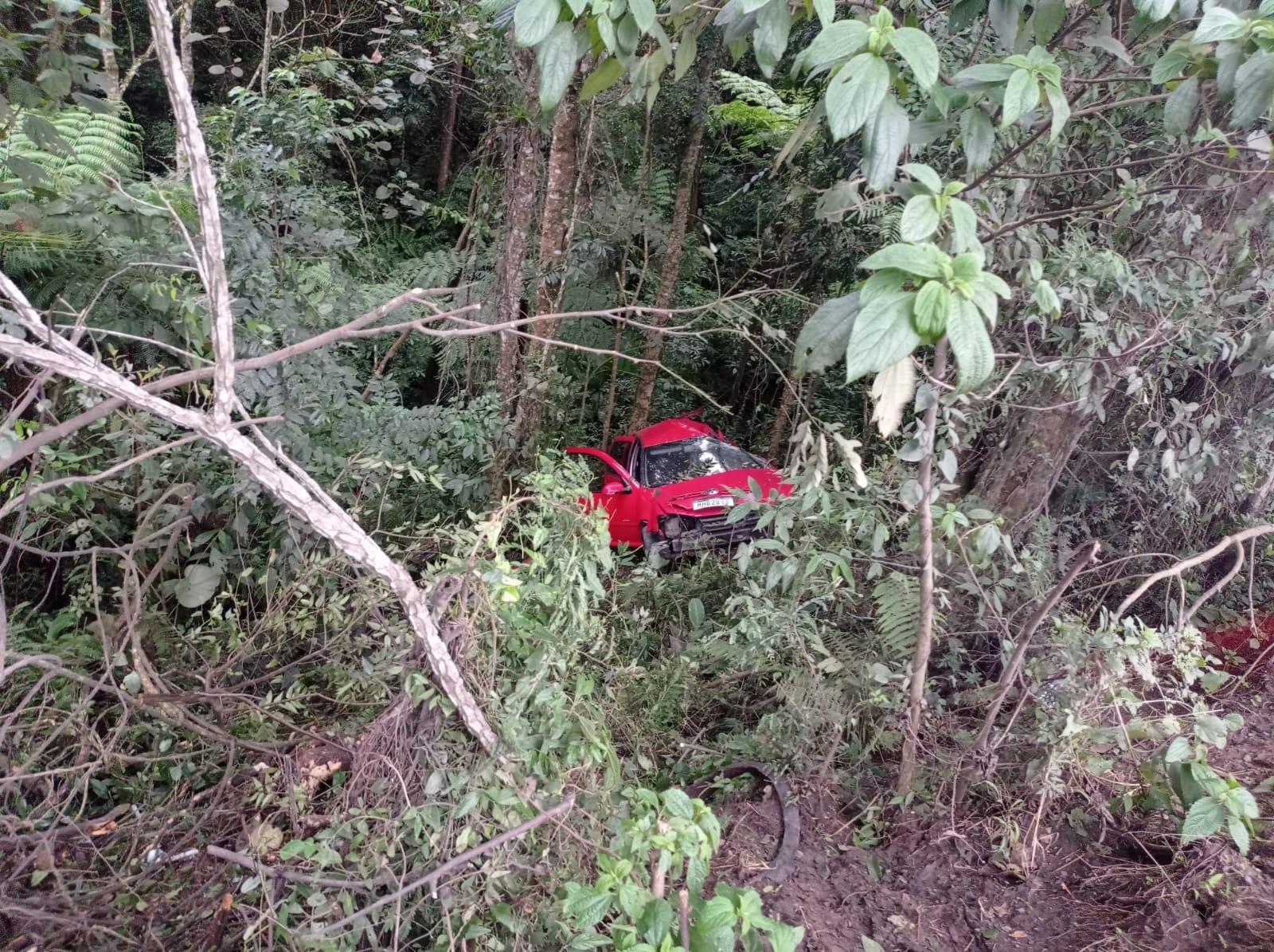 Motorista perde controle de veículo sai da pista e colide em árvore