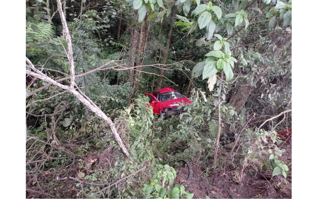 Motorista perde controle de veículo sai da pista e colide em árvore