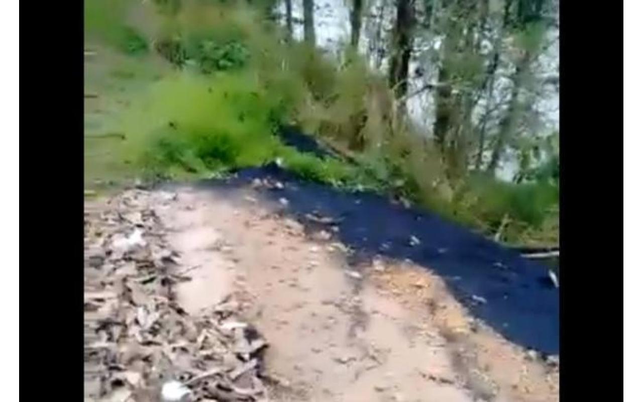 Motorista que despejou asfalto às margens do rio em Apiúna é demitido, afirma DNIT