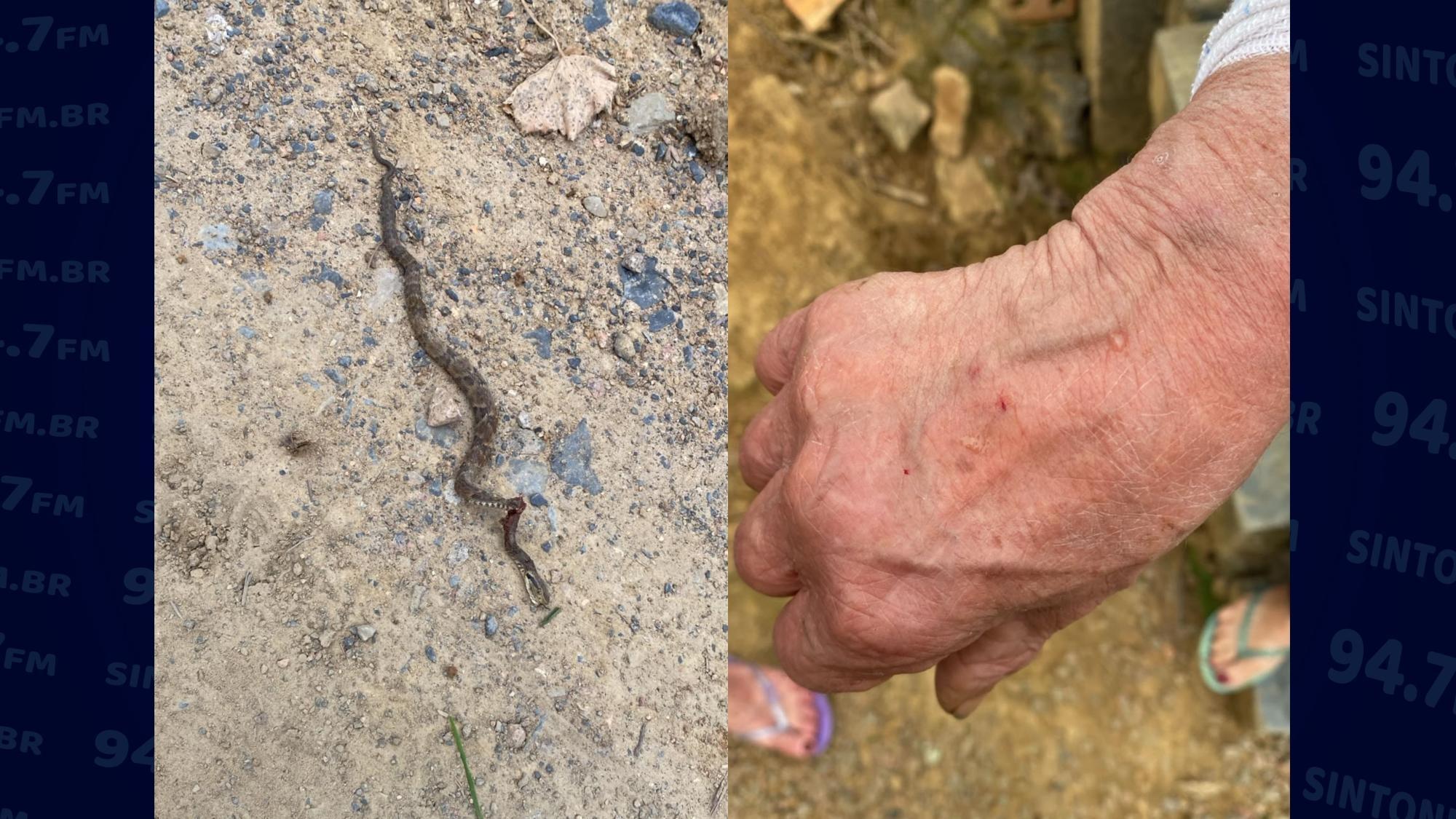 Mulher é picada por cobra no Alto Vale