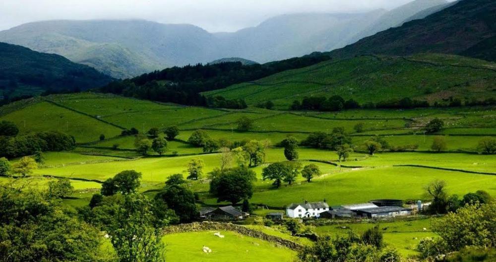 Agricultores de Vidal Ramos precisam declarar ITR até 30 de setembro