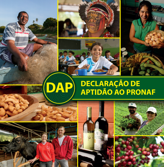 Agricultores precisam ficar atentos com validade da DAP para não perder benefícios do Proagro