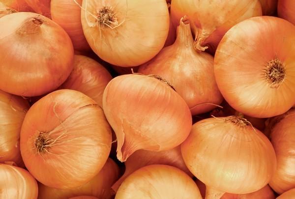 Anace lança revista e site para manter produtores bem informados sobre a cadeia produtiva da cebola