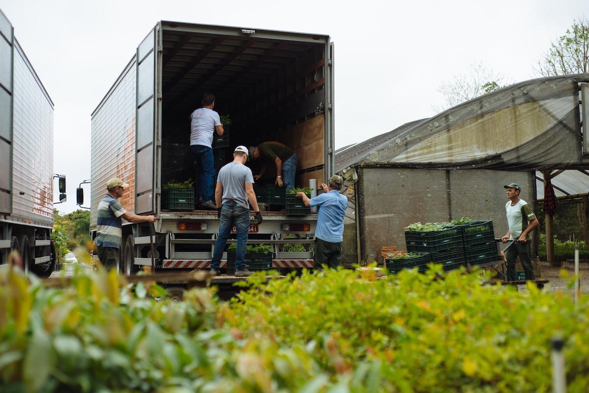 Apremavi abre vagas para atuação em projetos ambientais 