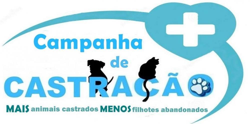 Associação “As Patas” promove neste domingo em Ituporanga mutirão de castração de cães e gatos
