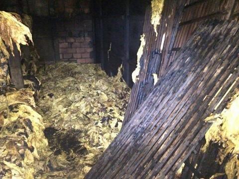 Bombeiros alertam para os riscos de incêndio em estufas de fumo