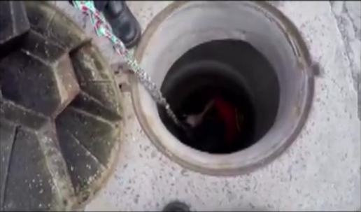 Bombeiros resgatam cachorro que caiu em boca de lobo em Ituporanga  