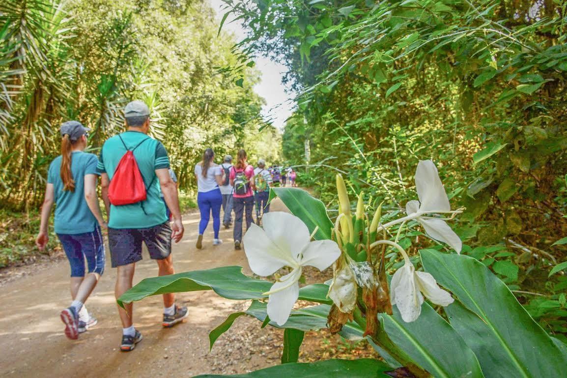 Caminhada Ecológica será realizada em Ituporanga
