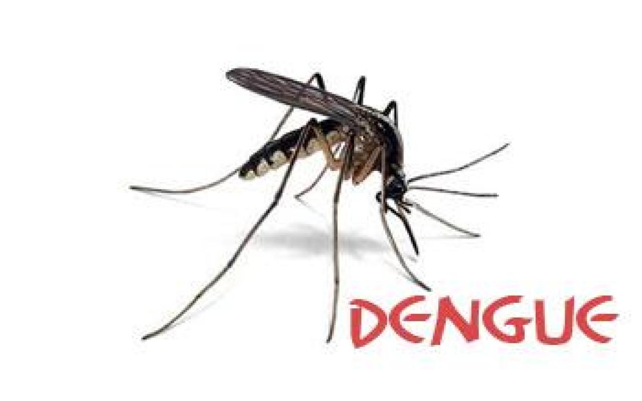 Campanhas de combate a dengue são lançadas em Imbuia