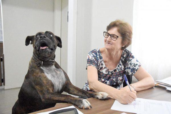Cartórios do Alto Vale começam a fazer registro civil de animais. 