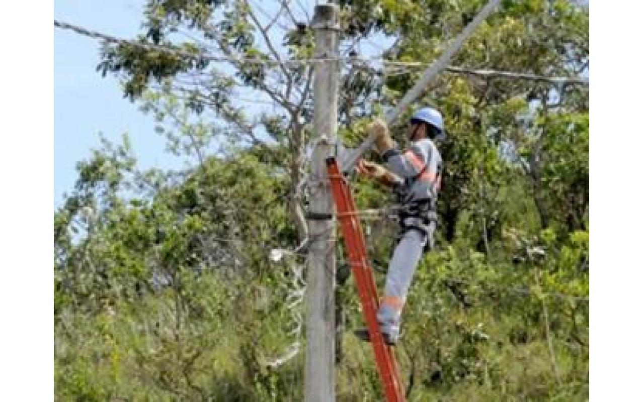 Celesc solicita apoio de agricultores para fazer limpeza da rede de energia na Região da Cebola