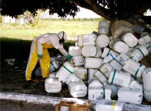 Cerca de 70 mil embalagens de agrotóxicos foram  recolhidas nessa semana em Bom Retiro e Alfredo Wagner