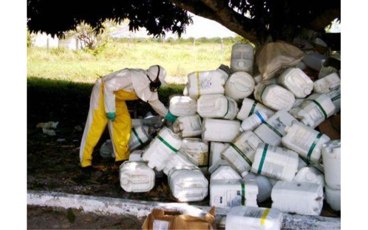 Cerca de 70 mil embalagens de agrotóxicos foram  recolhidas nessa semana em Bom Retiro e Alfredo Wagner